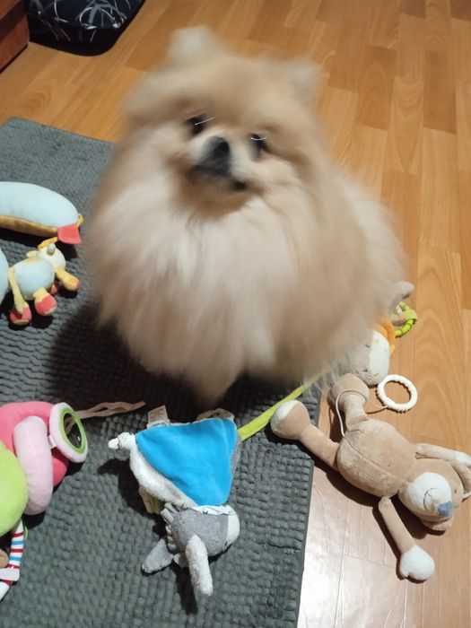 Очень добрый и красивый мальчик.. Ищет девочку