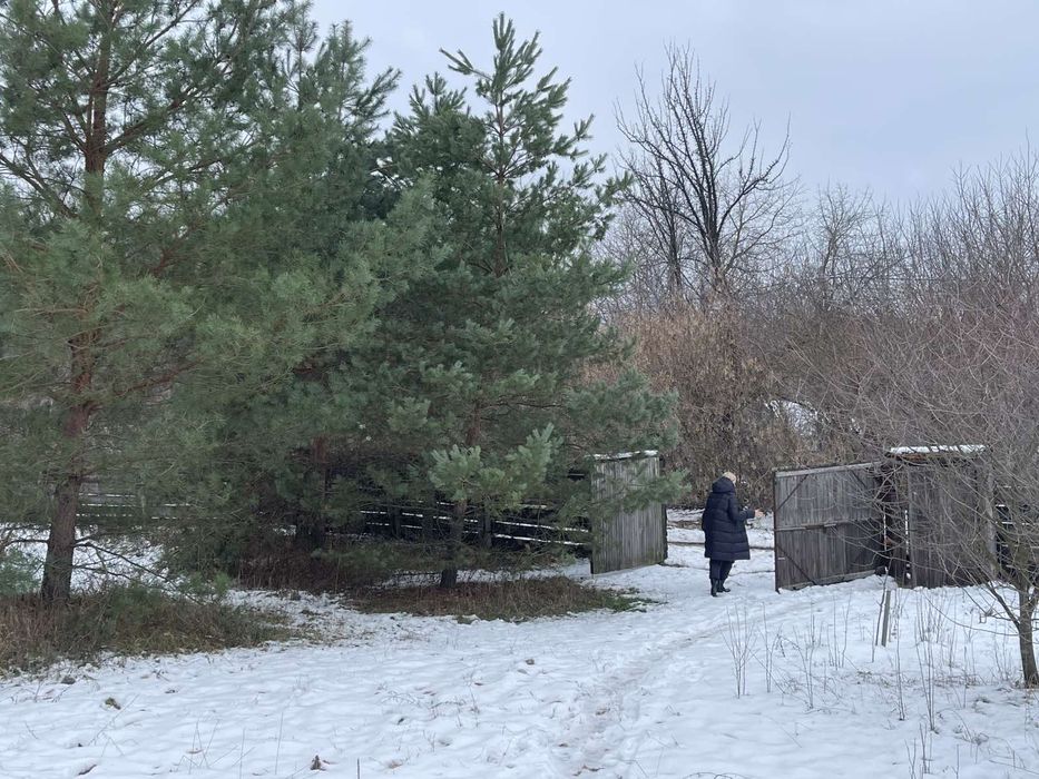 Помешкання під лісом в селі Піски. 70км від міста Київ.