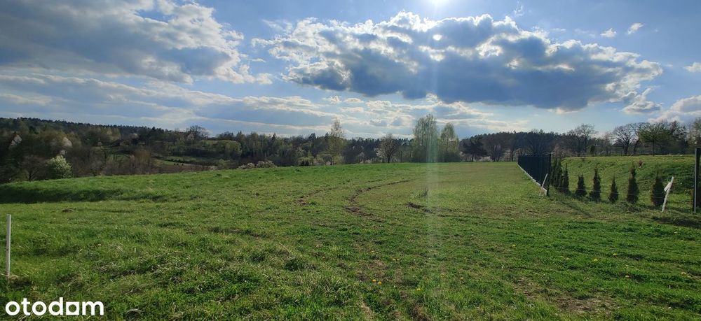 Widokowa działka budowlana na wzniesieniu, w pobliżu lasu - Widok 3