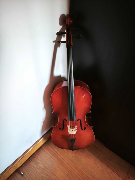 Vários Violoncelos Hofner, Carlo Giordano, Kreutzer, Palatino, etc