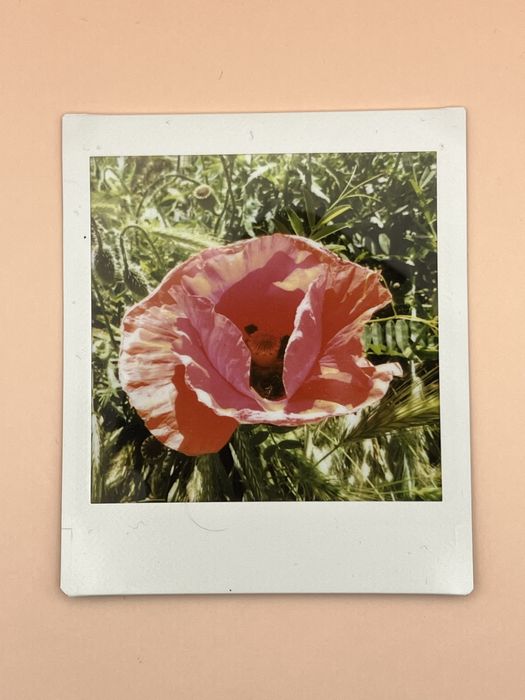 Камера Fujifim Instax  SQ20