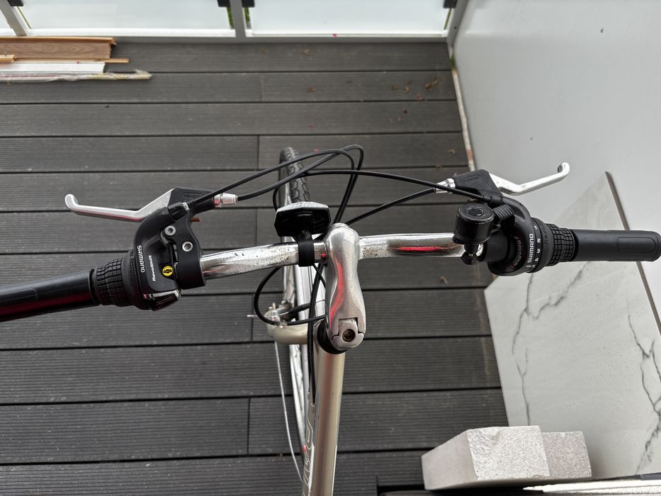 Rower Raleigh 28