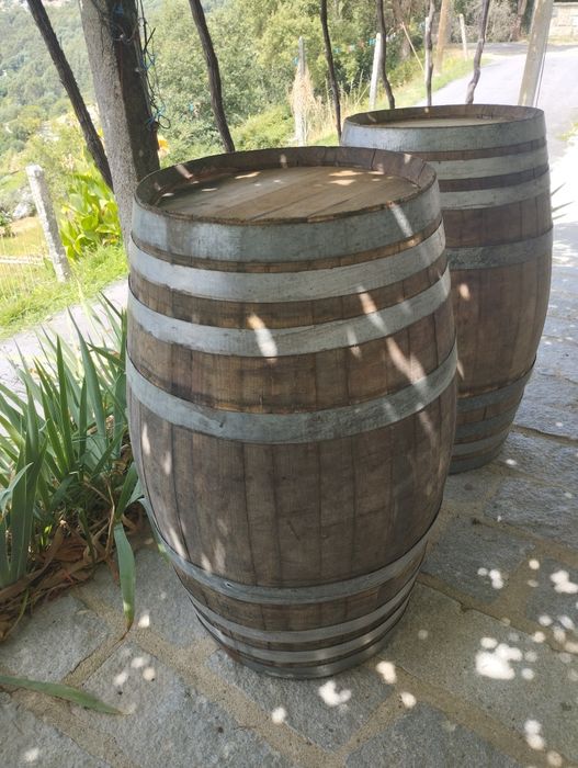 Pipas em Madeira de Castanho (250L)