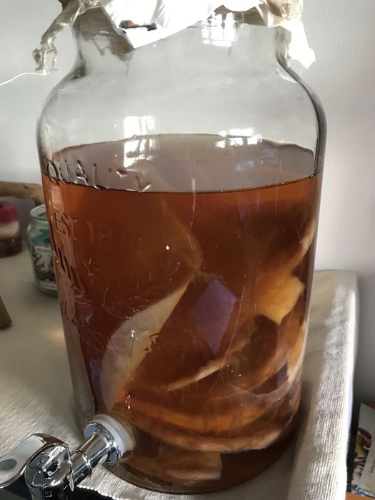 Scoby e starter para kombucha e Kombucha caseira já pronta