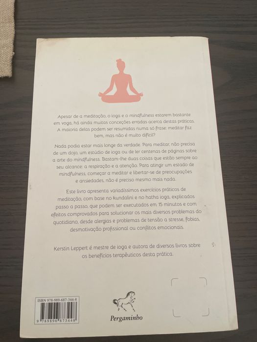 Mindfulness em 15 Minutos - Kerstin Leppert