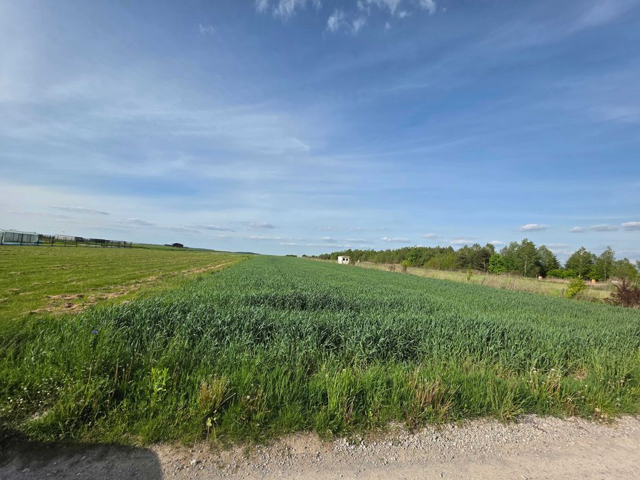 Duża działka pod zabudowę jednorodzinną 12 km od Kielc