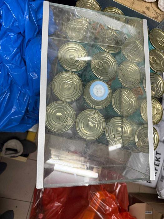 Formikarium dla mrówek, arena