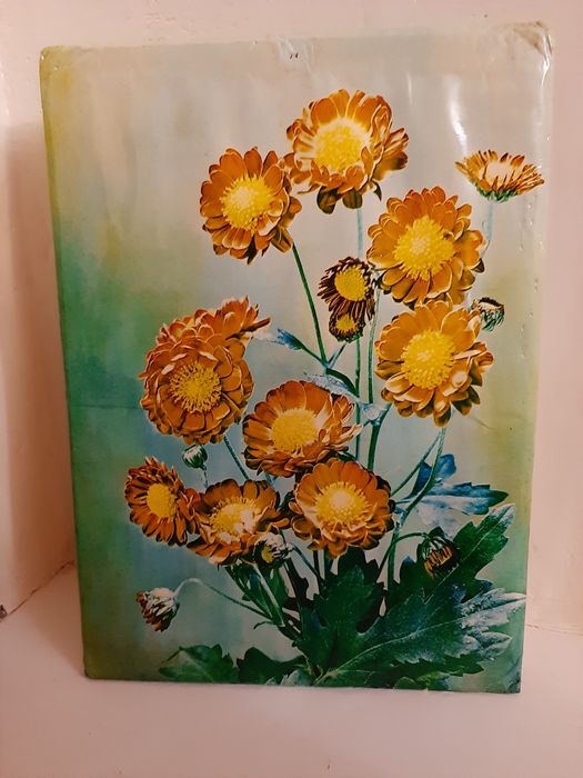 Красивая Картина времён СССР