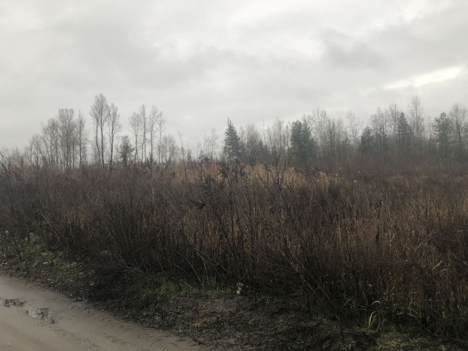 Продам Участок (Пром. зона) недалеко від Києва.