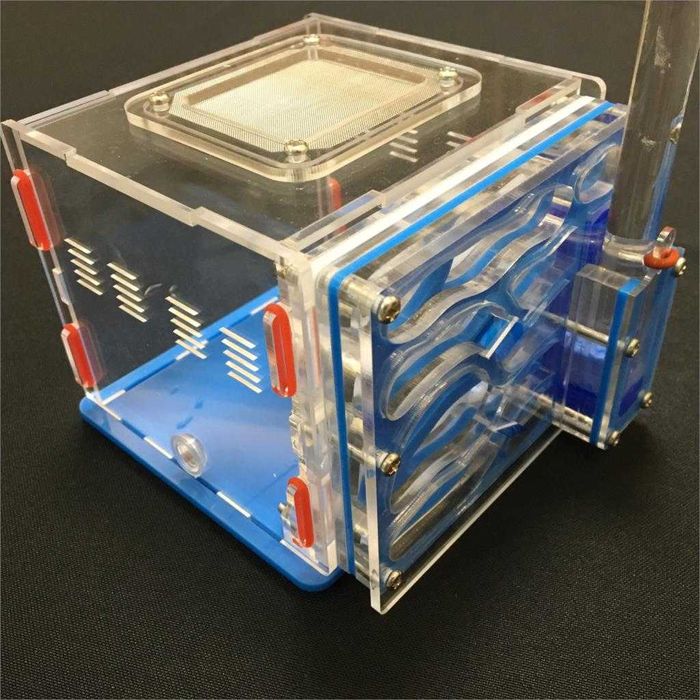 Formicário Ant Farm Formicarium formigas estimação com bebedouro NOVO