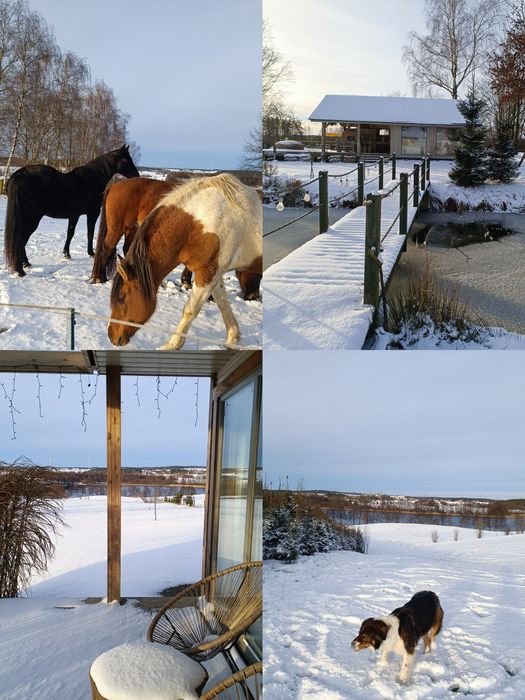 Domek nad jeziorem, SPA na wyłączność, konie, Kaszuby