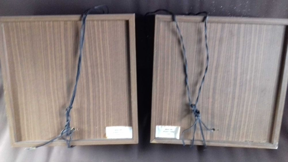 Rema HiFi 40 W  - skrzynie i maskownice