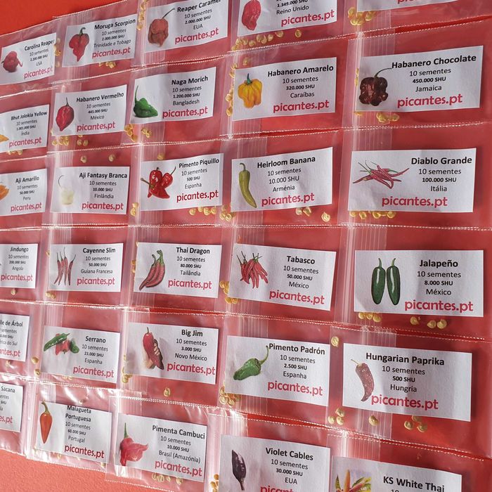 40 Variedades Pimenta Malagueta Sementes escolha as que quiser