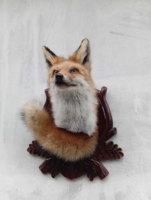 medalion lisa lowietwo trofea rzezba eksponat prezent