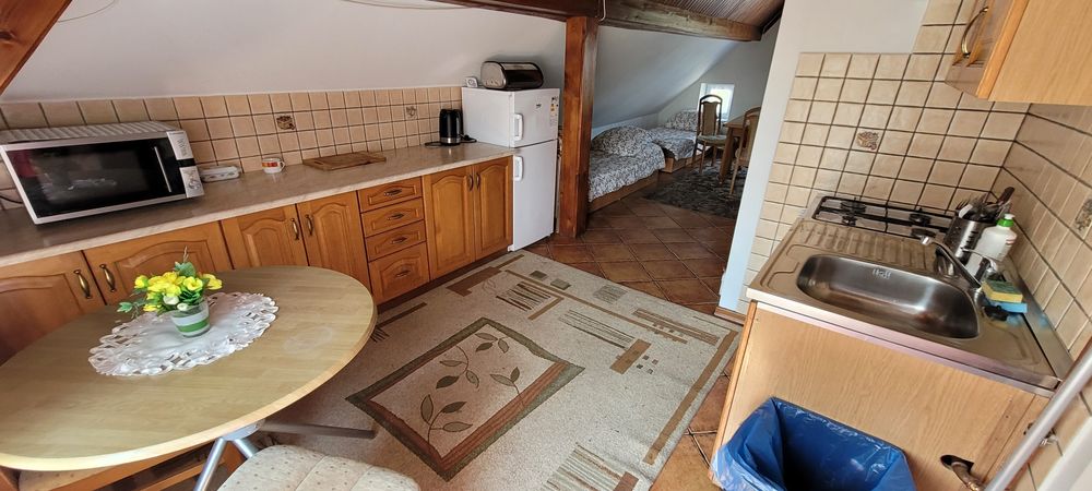 WAKACJE, WEEKENDY, Opener,Duze mieszkanie i dwie kawalerki