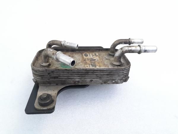 Radiador Combustivel LAND ROVER Range Rover Sport (L320)