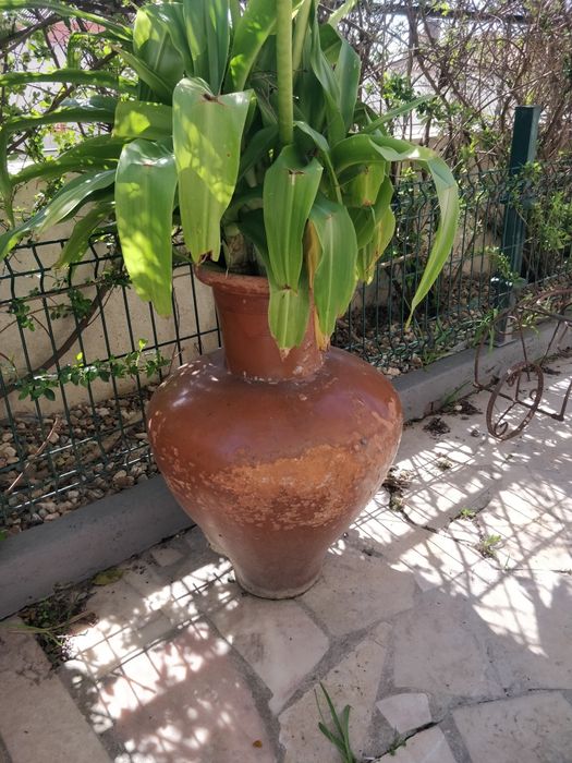 Vasos de cimento e barro grandes