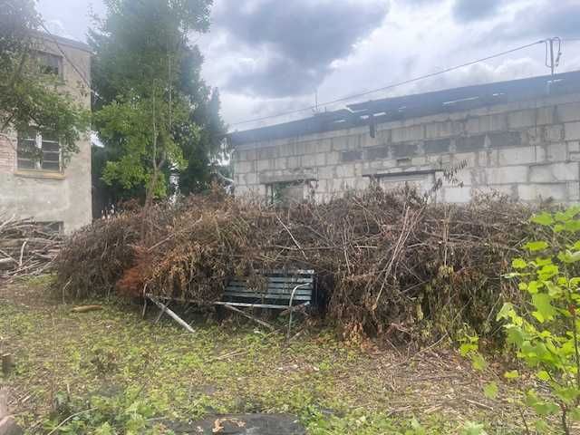 Oddam gałęzie z różnych drzew