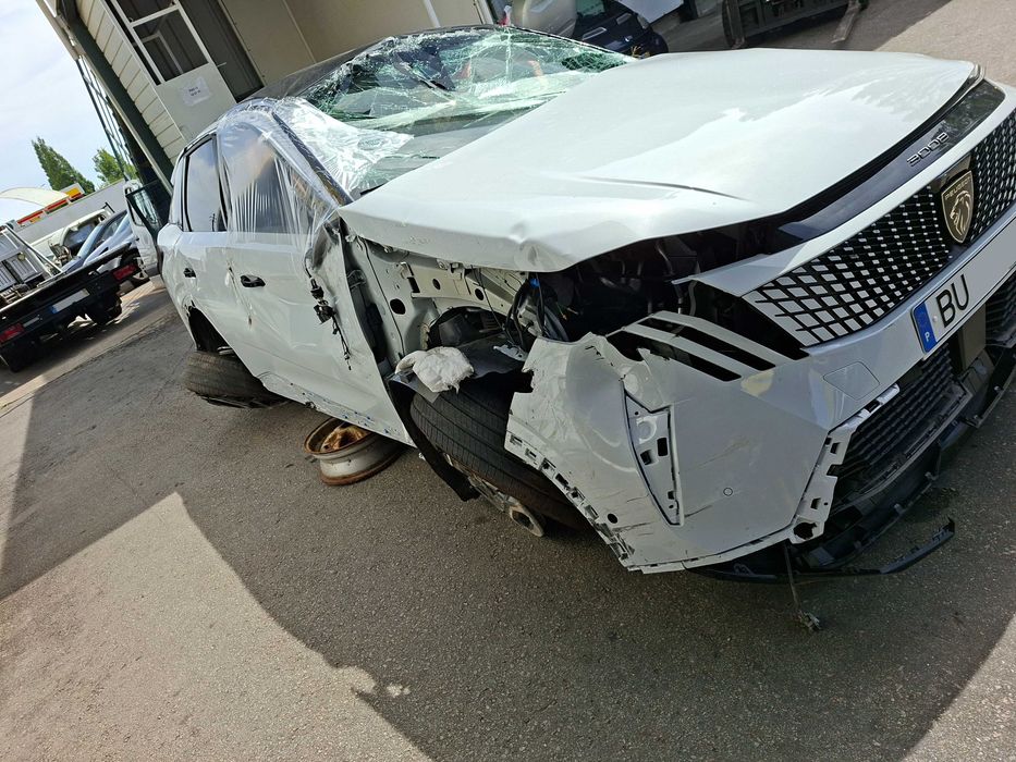 Peugeot E 3008 - Salvado
