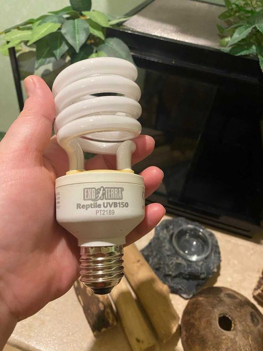 Комплект терариум для рептилій + УВБ лампа НОВА