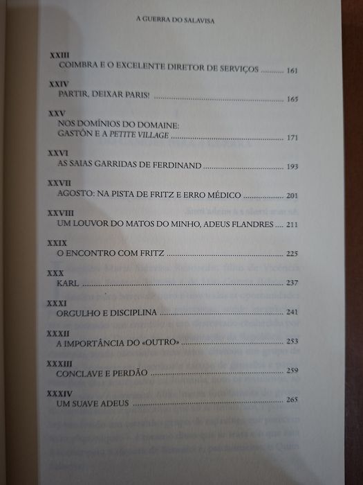 A Guerra do Salavisa