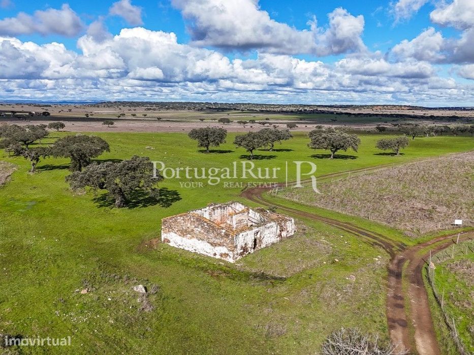 Herdade com 53ha perto do Alandroal