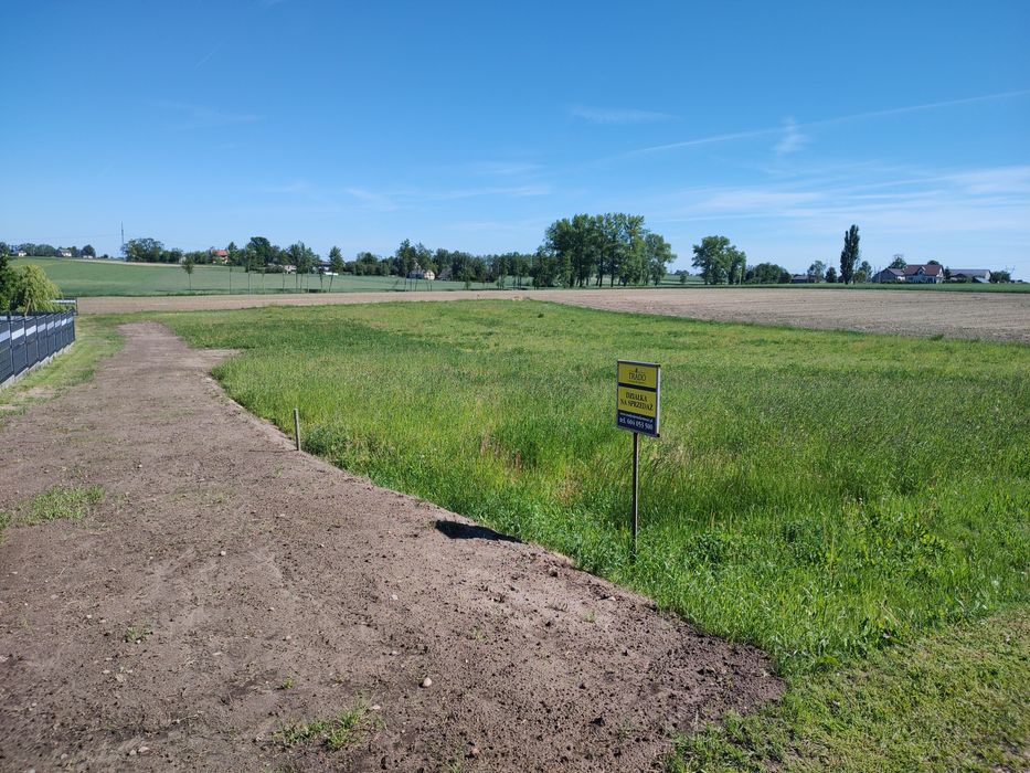 Działka budowlana Osiek Wielki Koło - Widok 4