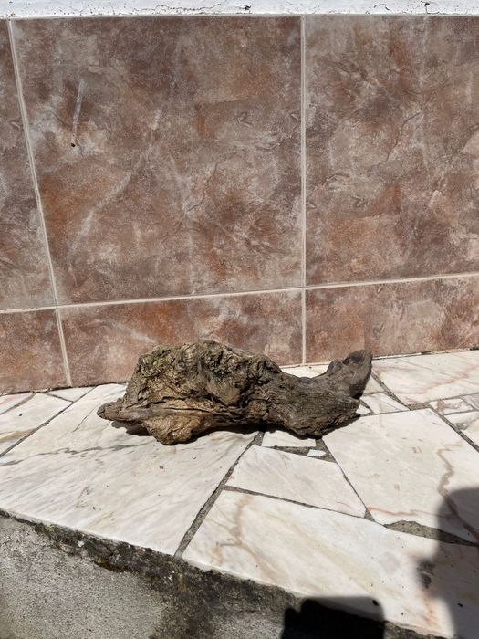 Madeira para Terrário/Aquário - Mais informações dm