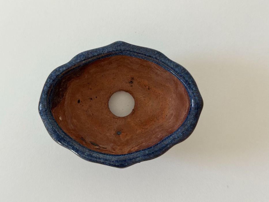 Горшик, плашка, бонсай