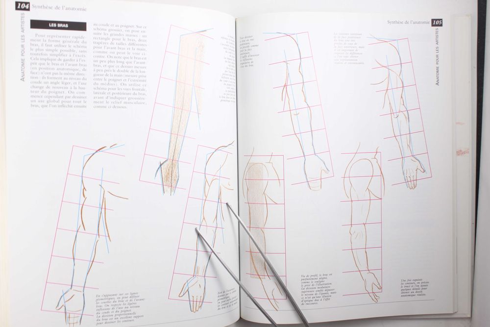Manuel de L'Anatomie artistique > praca zbiorowa