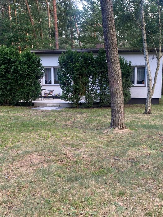 Wynajmę domek Letniskowy
