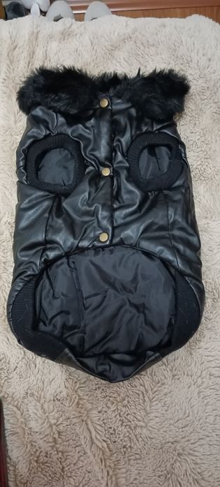 Roupa para cão motard