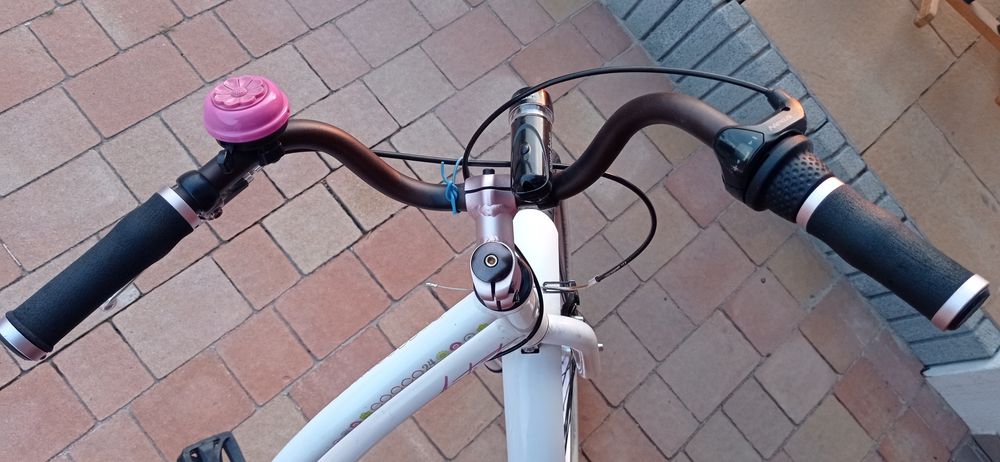 Rower Medano artist cocco 24"