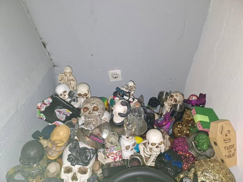 Coleção de caveiras