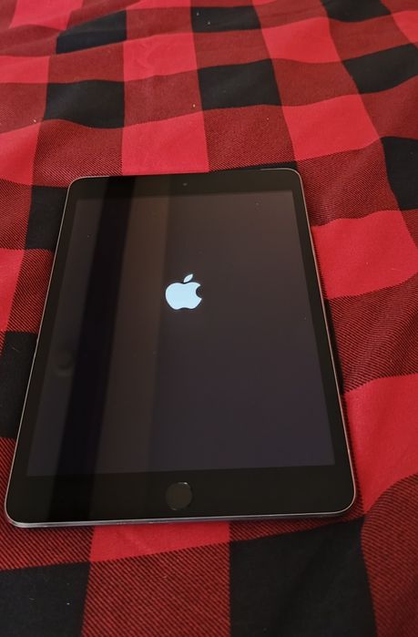 iPad Mini w znakomitym stanie ustawienia fabryczne