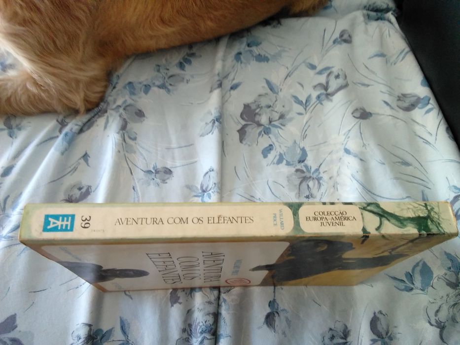 Aventura com os elefantes