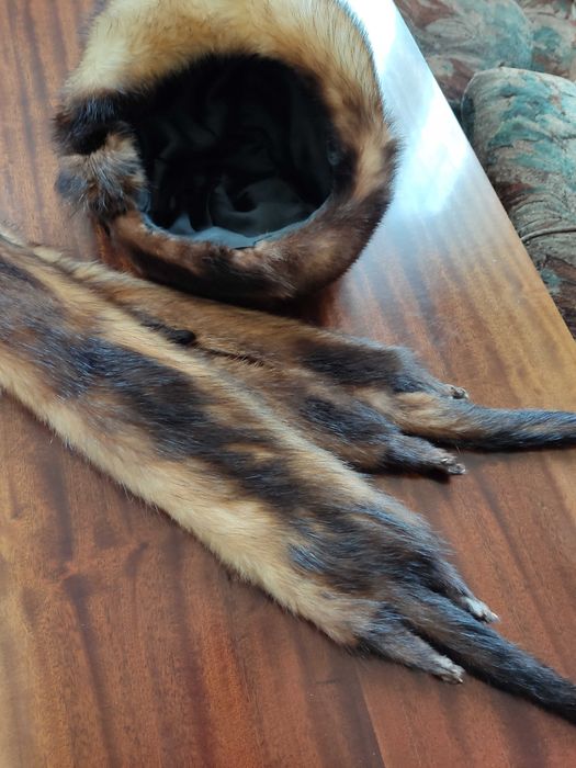 Damska czapka i szalik z tchórzofretki