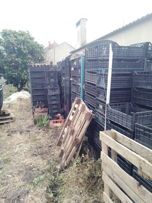 Caixas para Horta 750