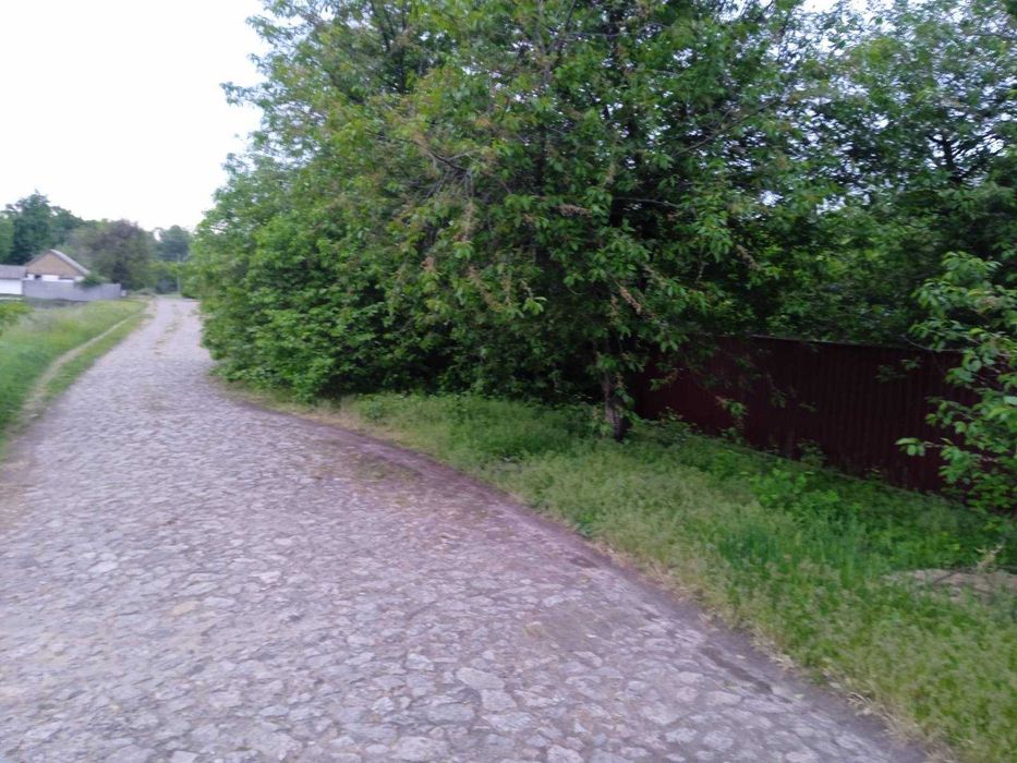 Пропонуємо до продажу земельну ділянку в с. Сагунівка