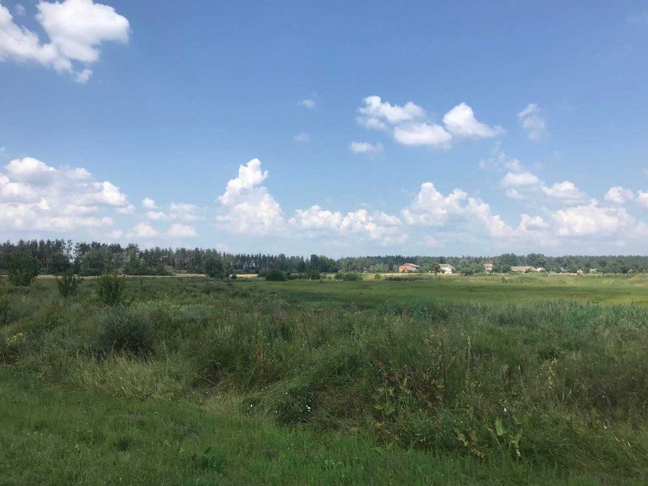 Продається земельна ділянка в с. Будище