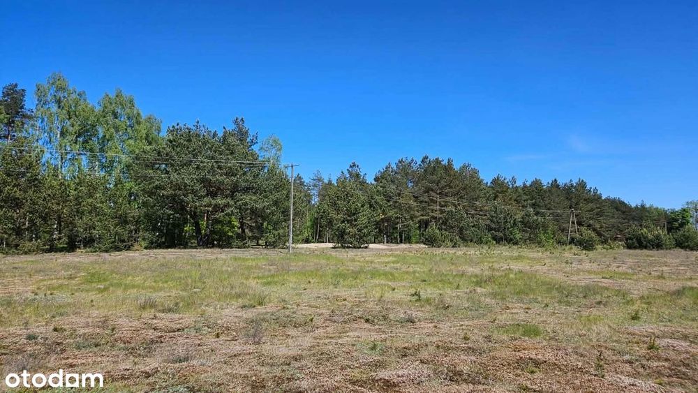 Sprzedam piękne położone działki budowlane – Brzozie, Bory Tucholskie. - Widok 2