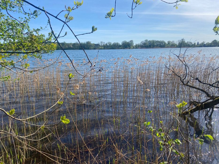 Земля біля озера 1.500 га