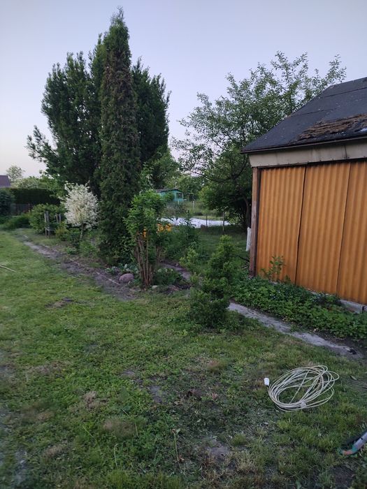 Ogródek działkowy
