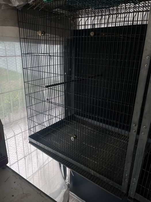 Voadeira para Aves