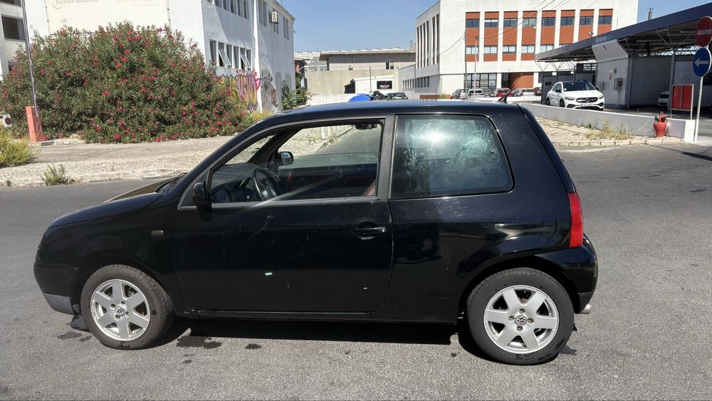 Lupo interior em pele