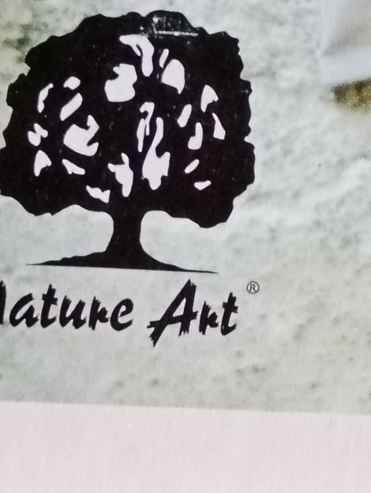 Caixa com 18 tubos de tinta a óleo da Nature Art