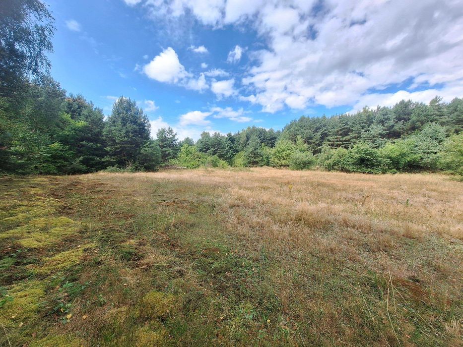JURA - Morsko sprzedam działkę budowlano-rolną, częściowo zalesioną - Widok 3