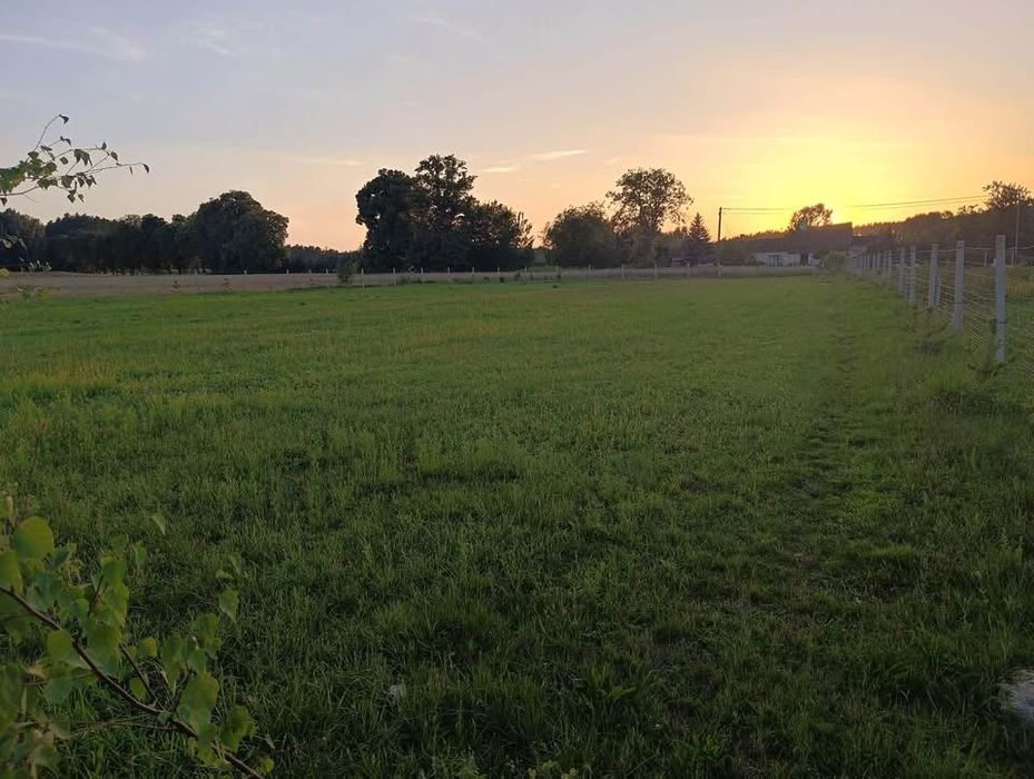 Działka  rolni-budowlana 30,01 ar