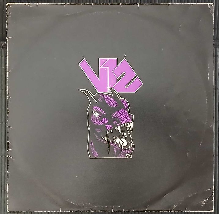 V12 - V12 (Vinil / LP)