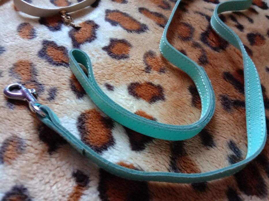 Ошейник итальянского бренда For pets only +кожаный поводок для собак